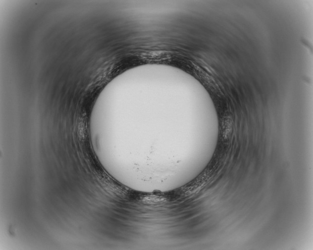 X0000095900515200802081143