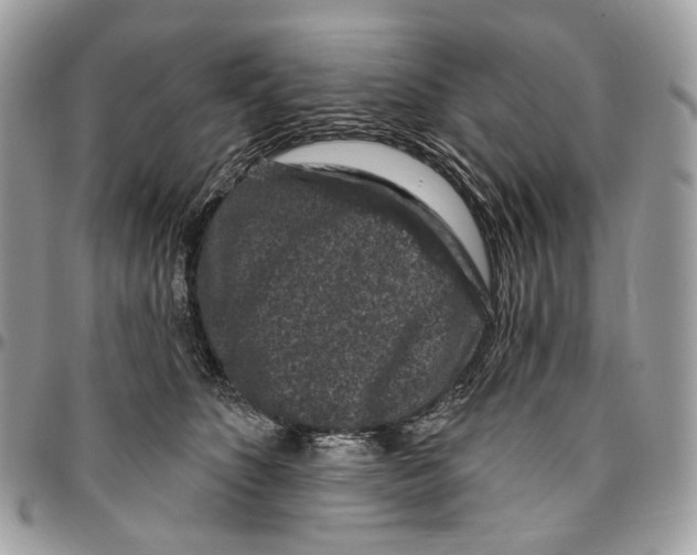 X0000095900516200802081143