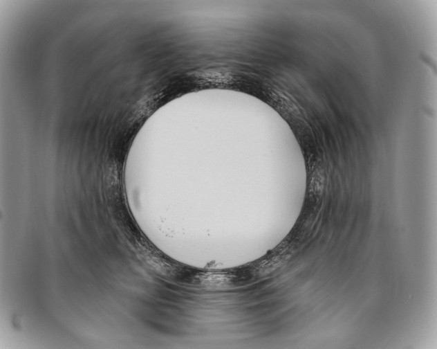 X0000095900518200802081143