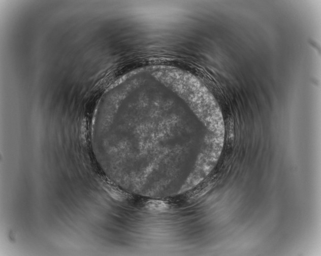 X0000095900519200802081143