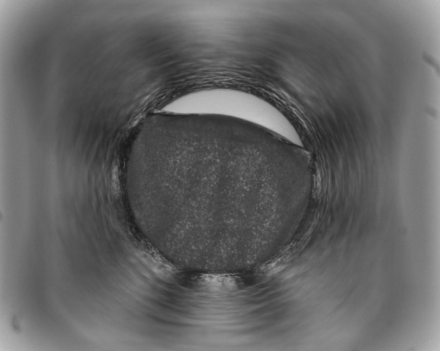 X0000095900520200802081143