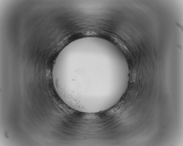 X0000095900521200802081143