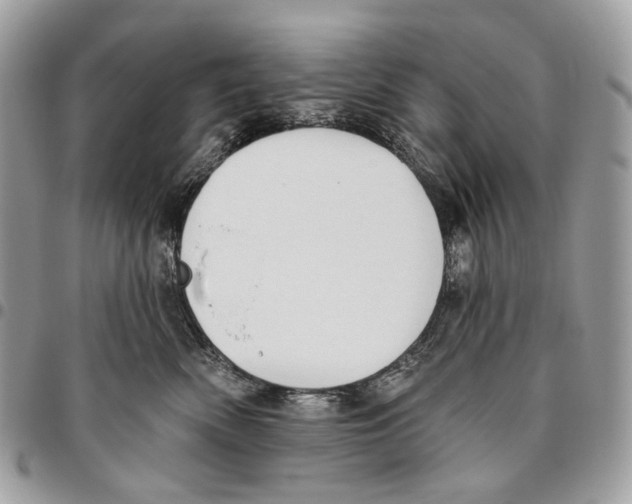 X0000095900522200802081143