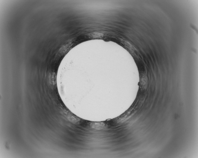 X0000095900525200802081143