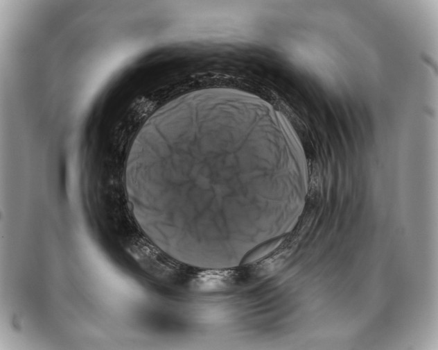 X0000095900526200802081143