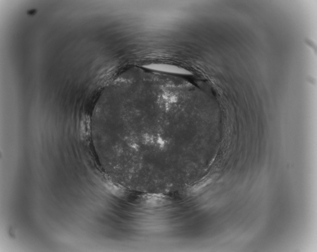 X0000095900528200802081143