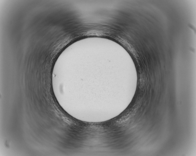 X0000095900529200802081142