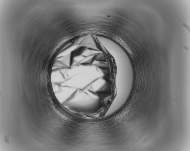 X0000095900530200802081142