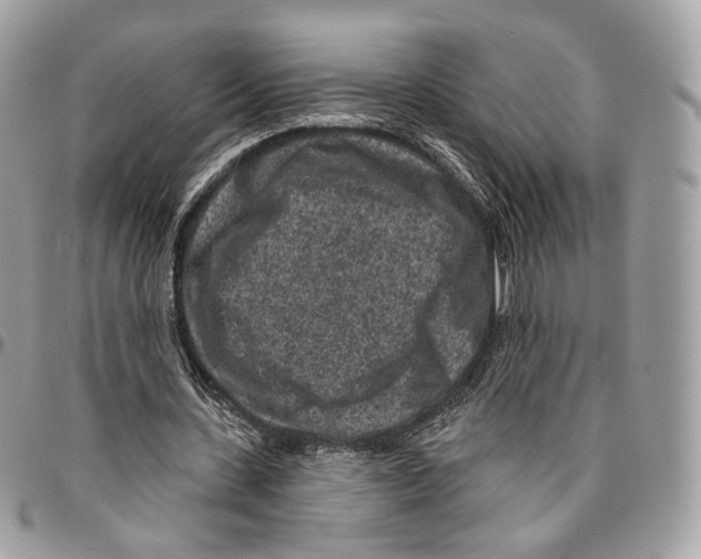 X0000095900531200802081142