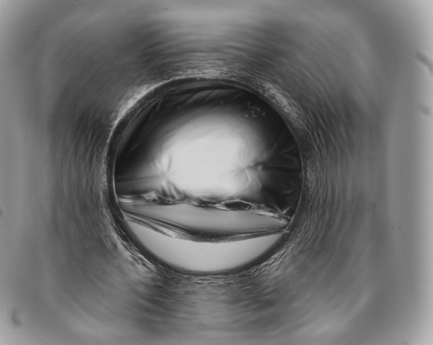 X0000095900532200802081142