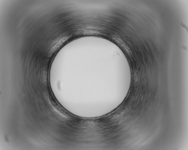 X0000095900533200802081142