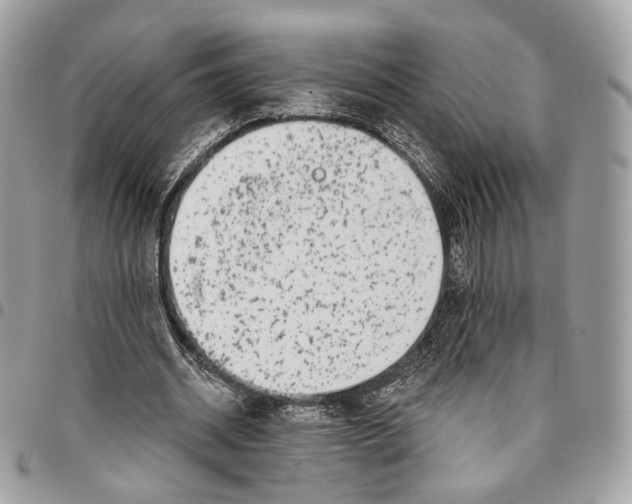 X0000095900534200802081142