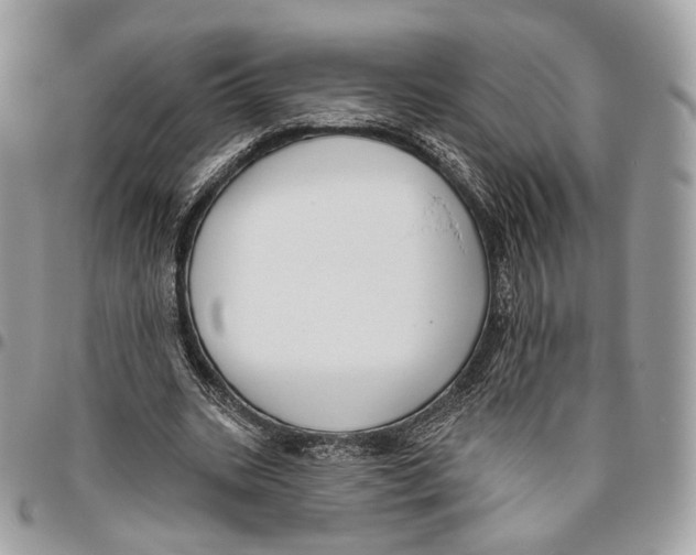 X0000095900535200802081142