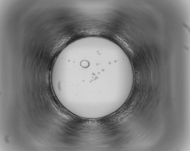 X0000095900537200802081142