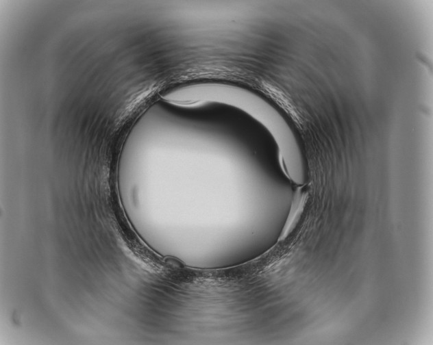 X0000095900538200802081142