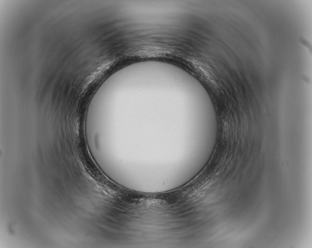 X0000095900539200802081142