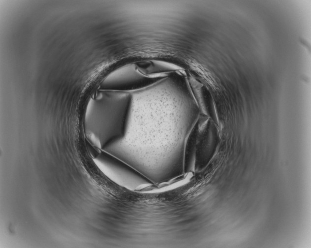 X0000095900540200802081142