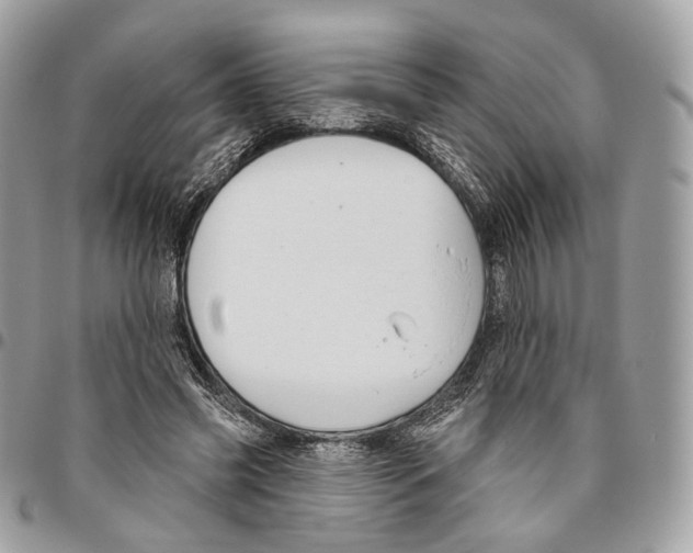 X0000095900541200802081142