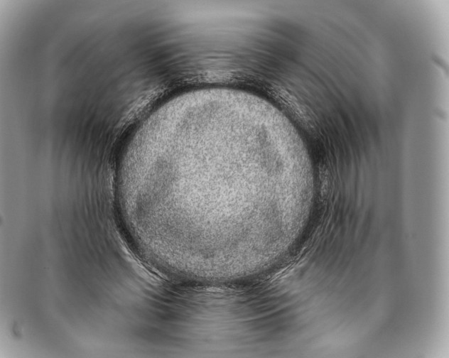 X0000095900542200802081142