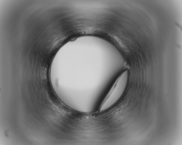 X0000095900543200802081142