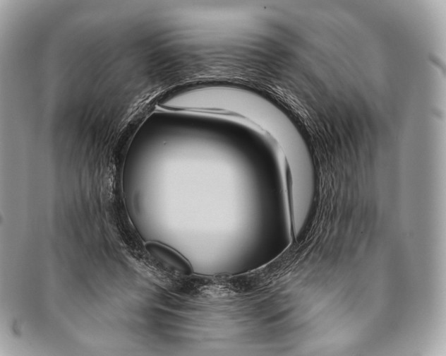 X0000095900544200802081142