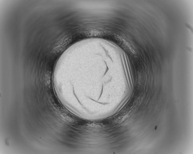 X0000095900545200802081142