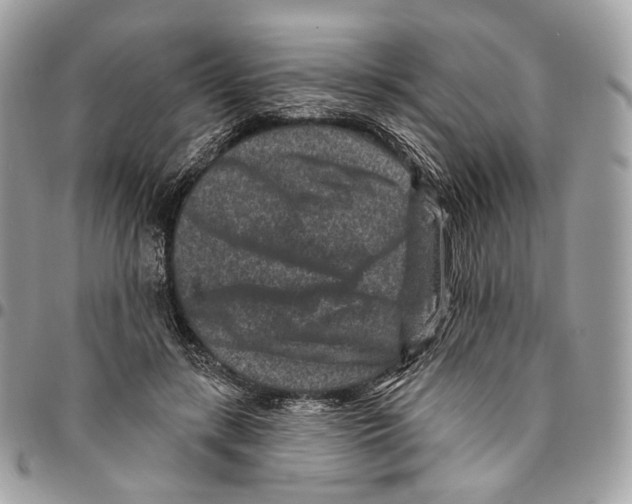 X0000095900547200802081142