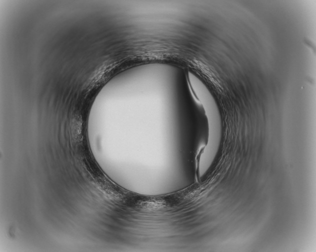 X0000095900548200802081142