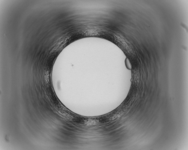 X0000095900549200802081142