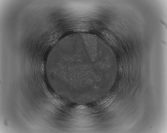 X0000095900551200802081142