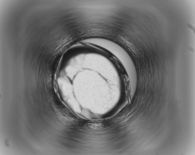 X0000095900552200802081142