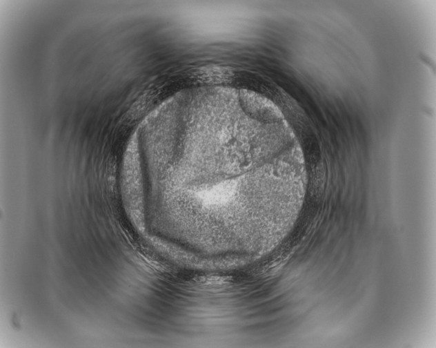 X0000095900553200802081142