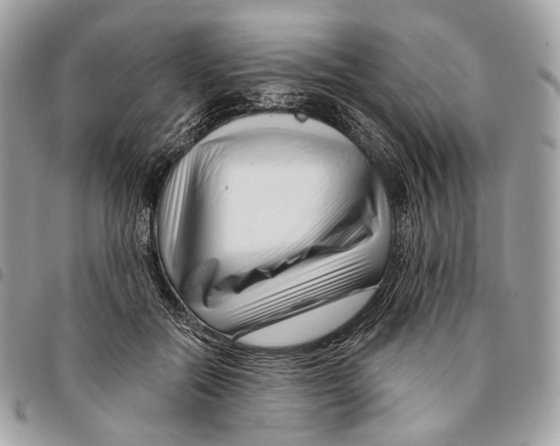 X0000095900554200802081142