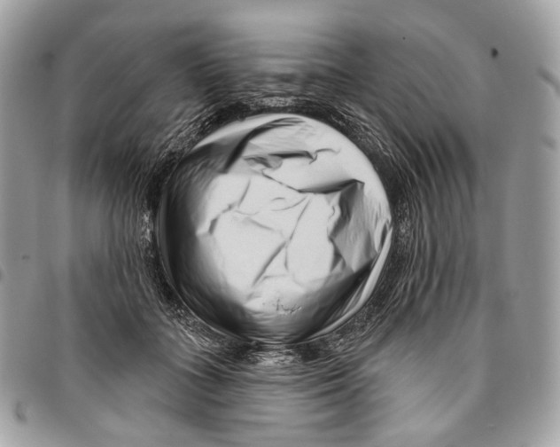 X0000095900555200802081142