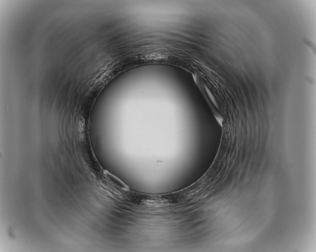 X0000095900556200802081142