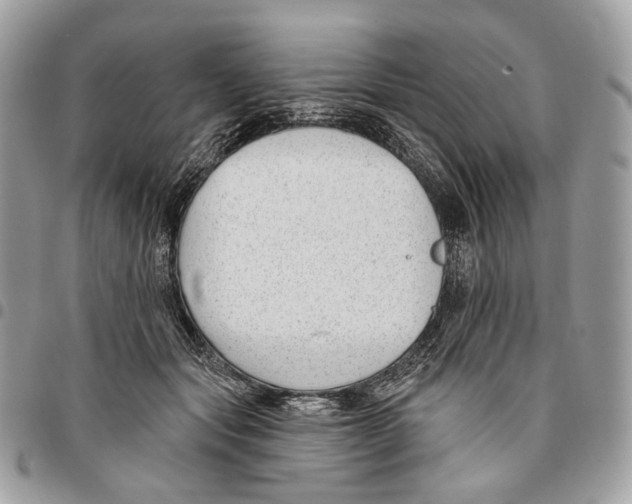 X0000095900557200802081142