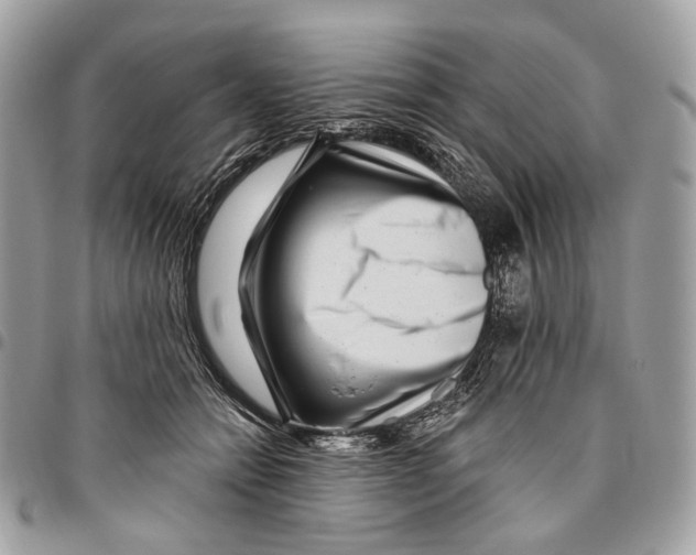 X0000095900558200802081142