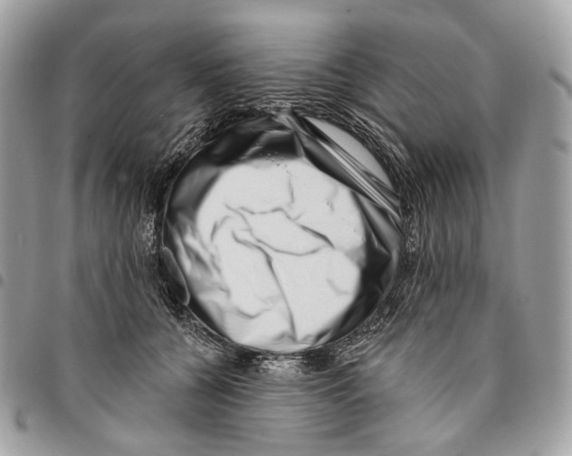 X0000095900560200802081142