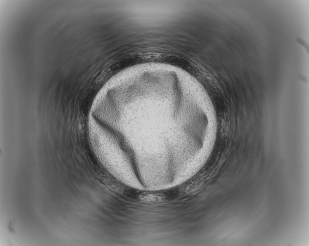 X0000095900561200802081142