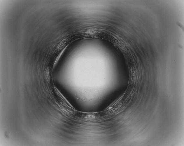 X0000095900562200802081142