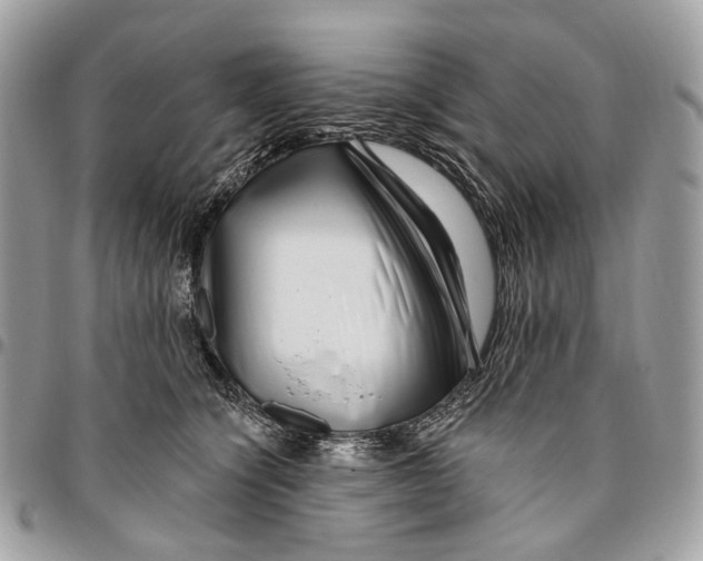 X0000095900564200802081142