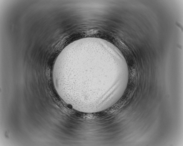 X0000095900565200802081142