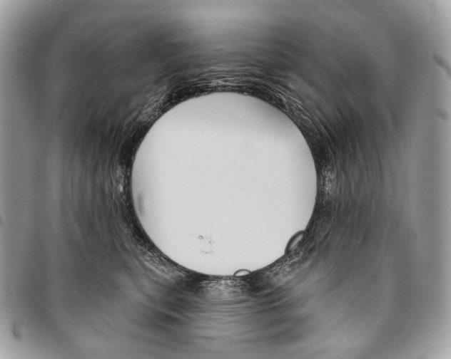 X0000095900567200802081142