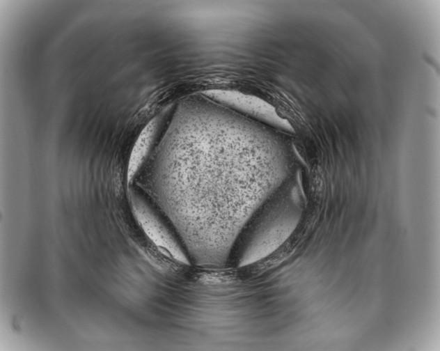 X0000095900568200802081142