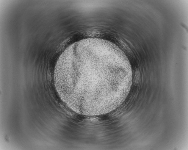 X0000095900569200802081142