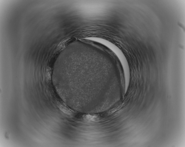 X0000095900570200802081142