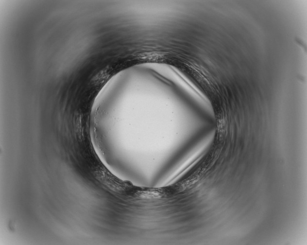 X0000095900572200802081143