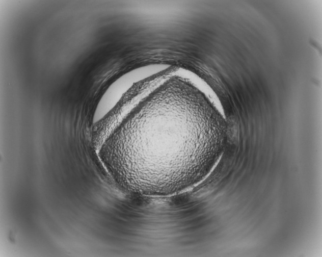 X0000095900573200802081143