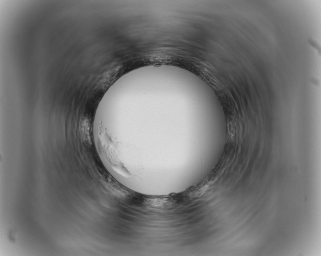 X0000095900575200802081143