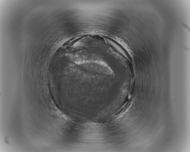 X0000095900577200802081142